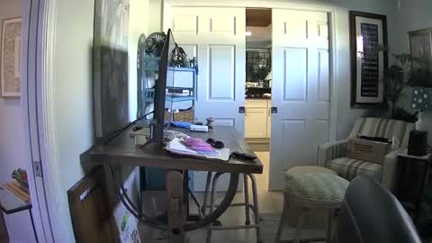 DirtkPitt Fun guy working online show from February 2025 06:40:02 PM