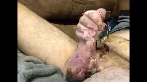 Dirtykurty5000 online show from September 2025 11:43:01 AM