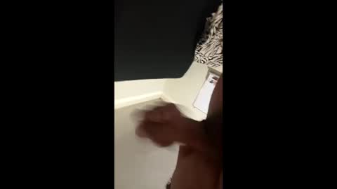 disidente1978 online show from April 2026 02:34:01 AM