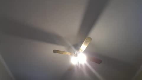 Your Best Worst Nightmare online show from December 2024 08:37:02 PM