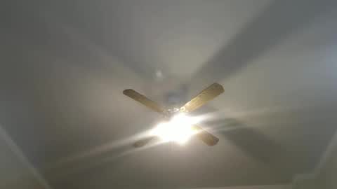 Your Best Worst Nightmare online show from January 2025 04:52:02 AM