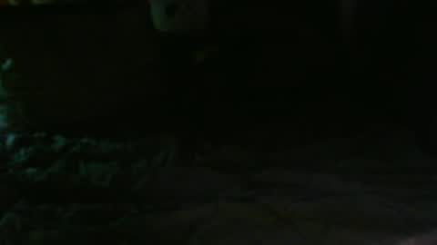 Chris Williams online show from February 2025 02:50:01 AM