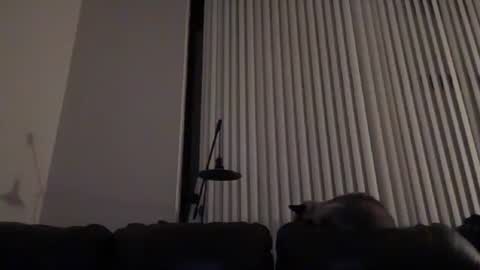 DJ Chaterbate online show from January 2026 04:07:02 AM