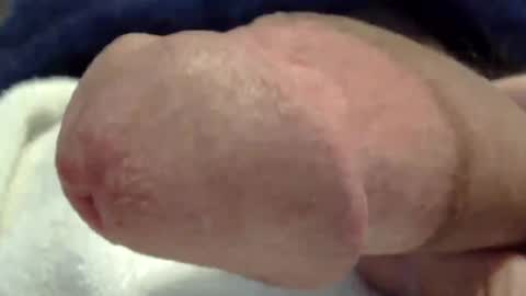 Mmmmgood online show from June 2026 07:29:01 PM