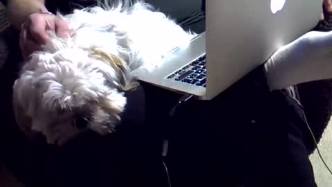 Snapshot of dkdad1966 chatting on December 2025 03:43:02 PM DKdad online show from December 2025 03:43:02 PM