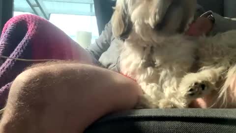 Snapshot of dkdad1966 chatting on December 2025 09:13:02 AM DKdad online show from December 2025 09:13:02 AM