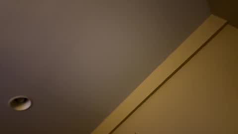 Snapshot of dnice69968127 chatting on January 2025 09:02:01 PM dnice69968127 online show from January 2025 09:02:01 PM