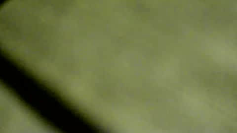 Doby online show from April 2026 09:48:02 PM