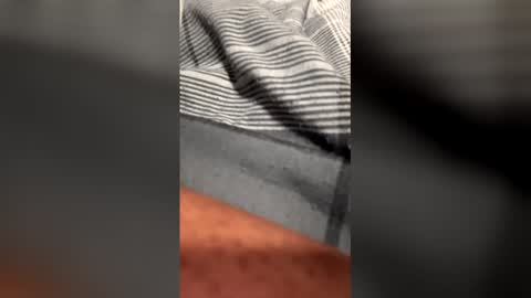 Dogladi online show from February 2026 11:36:02 AM