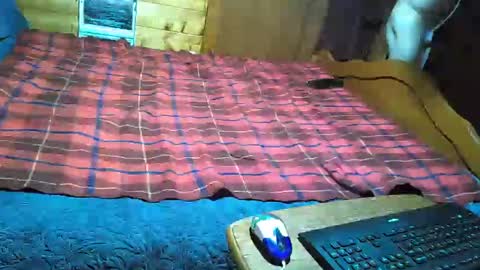 Snapshot of dolomois chatting on February 2025 01:06:01 PM dolomois online show from February 2025 01:06:01 PM