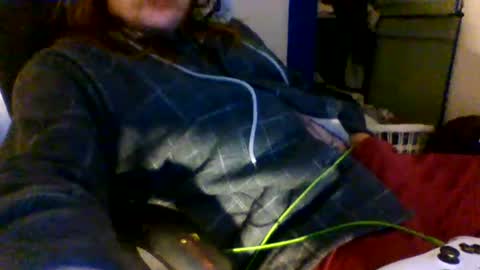 dolphindict online show from December 2024 08:40:01 AM