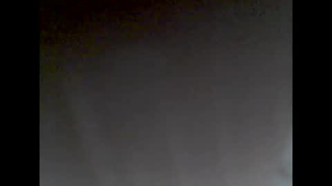 Snapshot of domanarchist chatting on December 2024 08:07:02 AM Sullyboyx online show from December 2024 08:07:02 AM