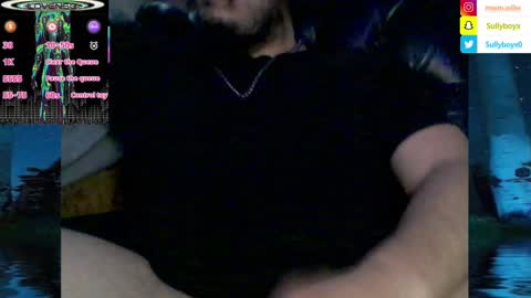 Snapshot of domanarchist chatting on January 2025 08:40:02 AM Sullyboyx online show from January 2025 08:40:02 AM