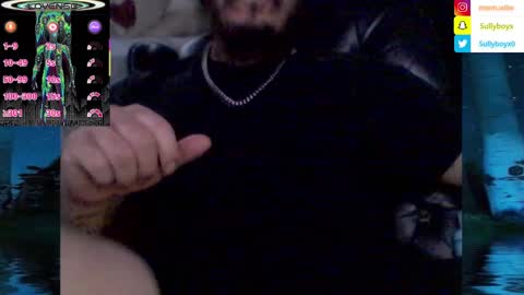 Snapshot of domanarchist chatting on February 2025 08:13:02 AM Sullyboyx online show from February 2025 08:13:02 AM