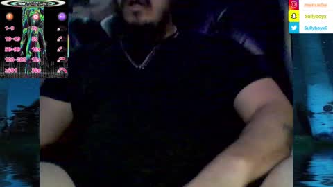 Snapshot of domanarchist chatting on February 2025 05:40:02 AM Sullyboyx online show from February 2025 05:40:02 AM