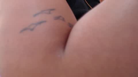 domenica online show from February 2026 12:17:02 PM