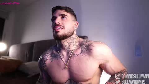 Dominic Sullivan online show from November 2025 02:44:02 AM