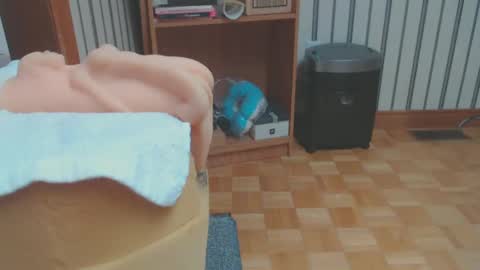 Snapshot of don_r55 chatting on February 2025 08:18:01 PM Don online show from February 2025 08:18:01 PM