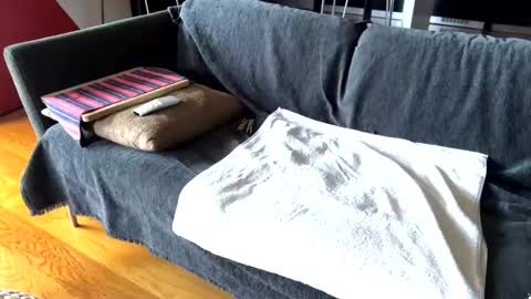 Alfredo online show from February 2025 09:46:02 AM