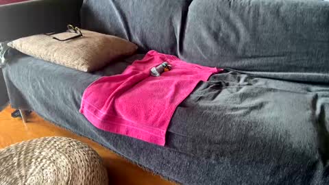 Alfredo online show from September 2025 11:10:01 AM