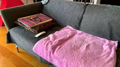 Alfredo online show from April 2026 10:37:02 AM