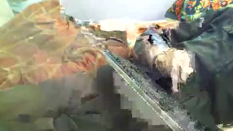 Hello  welcome to Slutsville  I am the Naked Chef  really  but you may call me Peter online show from April 2026 12:20:02 PM