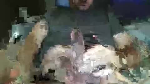 Snapshot of downtown831 chatting on February 2026 05:28:02 AM downtown831 online show from February 2026 05:28:02 AM