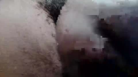 MrPirated online show from September 2025 03:28:02 PM