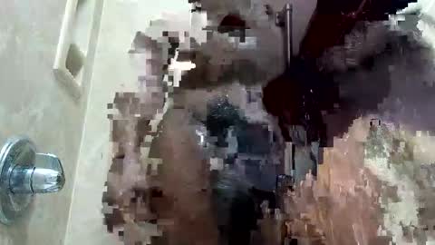 MrPirated online show from January 2026 01:59:02 PM