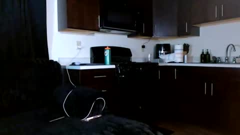 Snapshot of drayanicole1 chatting on February 2026 12:21:01 PM Draya Nicole online show from February 2026 12:21:01 PM