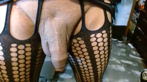 dreamreal online show from April 2026 10:31:01 AM