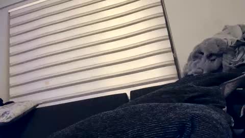 Snapshot of drippinggenie chatting on December 2024 05:08:02 PM drippinggenie online show from December 2024 05:08:02 PM