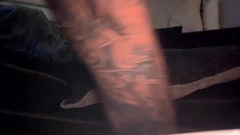 Snapshot of drippinggenie chatting on January 2025 11:25:01 AM drippinggenie online show from January 2025 11:25:01 AM