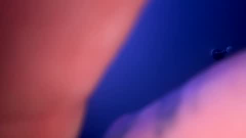 Snapshot of drippinggenie chatting on January 2025 03:32:02 PM drippinggenie online show from January 2025 03:32:02 PM