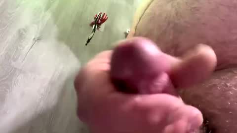 droppingloads82 online show from December 2024 04:53:02 AM