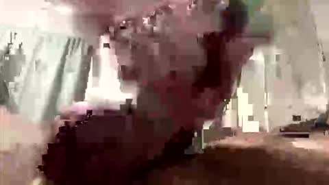 droppingloads82 online show from March 2026 09:13:01 AM