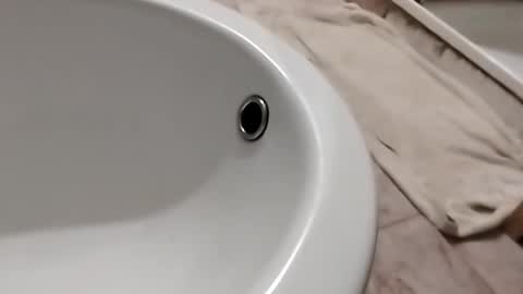 dthedog12 online show from November 2025 10:12:01 PM