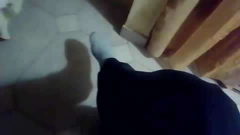 dthedog12 online show from December 2025 09:42:01 PM