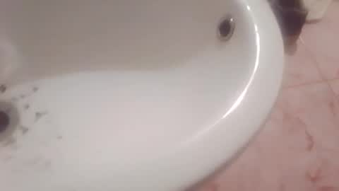 dthedog12 online show from February 2026 09:40:01 PM