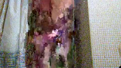 dublindub12 online show from March 2025 10:03:02 AM
