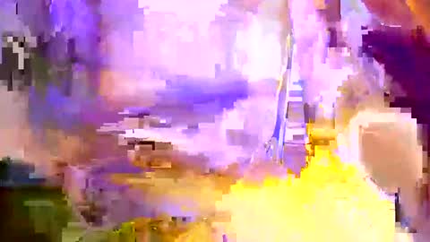 Snapshot of duh541228490531 chatting on February 2025 05:09:01 AM nomadjon online show from February 2025 05:09:01 AM