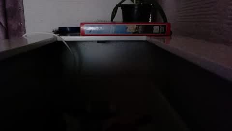 dulce_smith02 online show from November 2025 05:23:01 PM