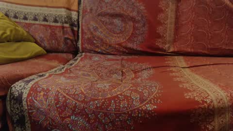 dunant76 online show from February 2025 11:13:02 AM