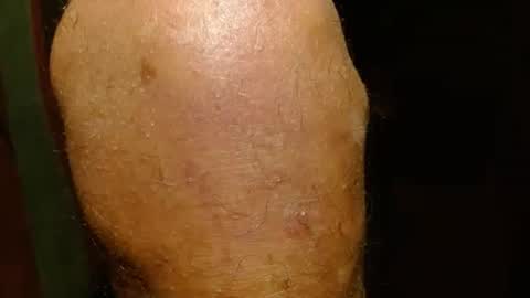 dunany101 online show from January 2025 04:15:01 AM