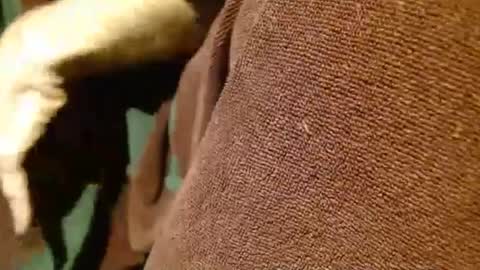 dunany101 online show from March 2025 12:49:01 AM