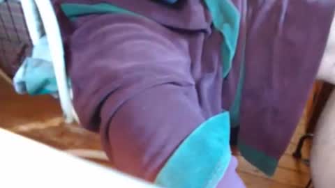 dunany101 online show from March 2025 02:34:02 PM