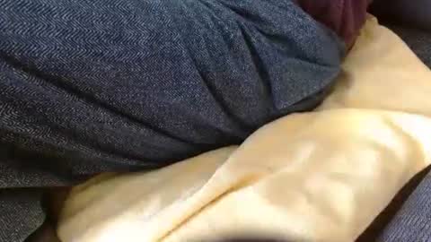 dunany101 online show from February 2026 04:05:02 PM