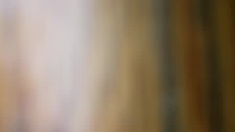 dVe1oPe online show from November 2025 11:09:01 AM