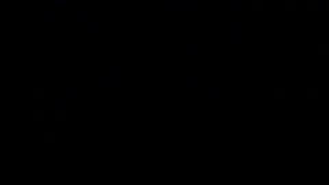 dwadek081704 online show from September 2025 04:39:02 AM