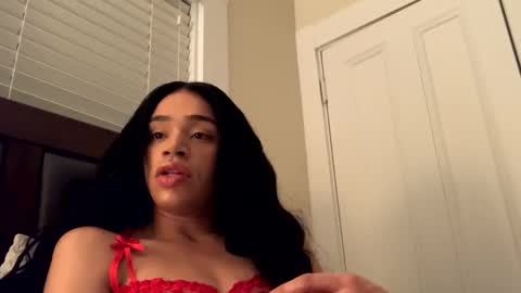 Snapshot of dynasty313 chatting on December 2024 03:04:02 AM Dynasty online show from December 2024 03:04:02 AM